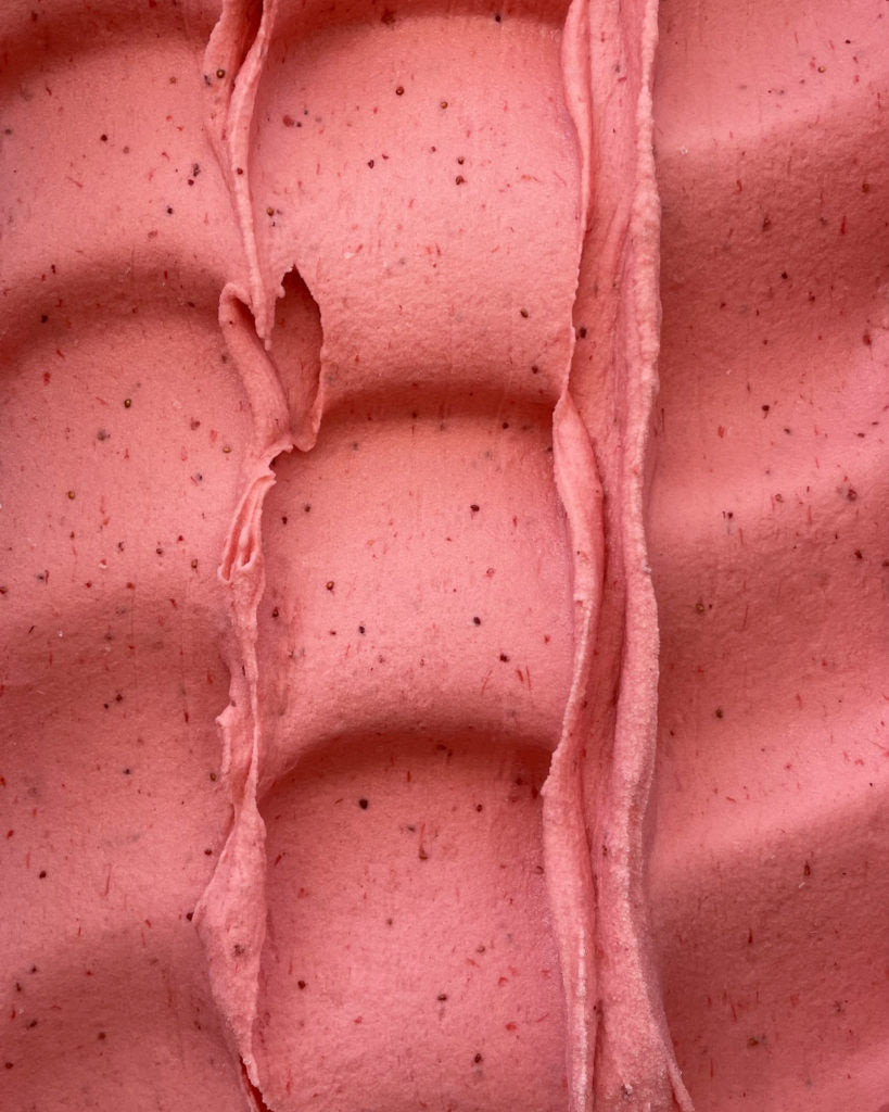 Sorbet - Fraise (180g/330g)