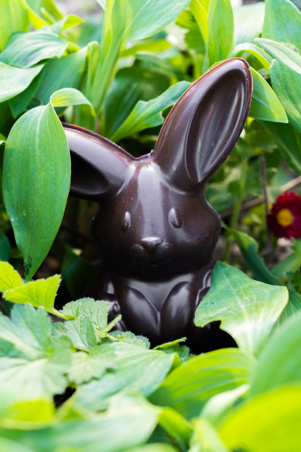 Le Lapin de Pâques