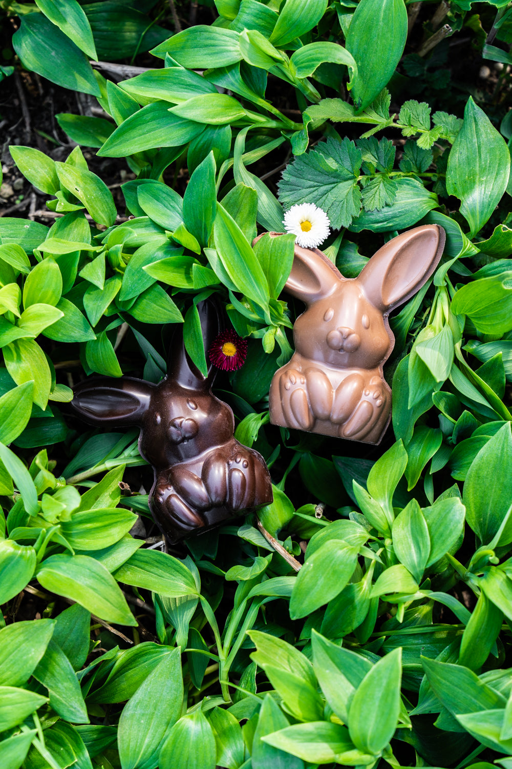 Le Lapin de Pâques
